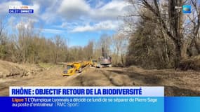 Rhône: de nouveaux bras du fleuve créés pour relancer la biodiversité