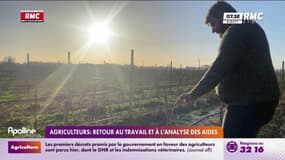 Agriculteurs : retour au travail et à l'analyse des aides