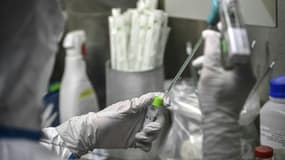 Dans un laboratoire de l'Institut Pasteur le 21 janvier 2020 à Paris