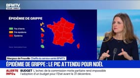 Le pic de l'épidémie de grippe attendu entre Noël et le jour de l'an