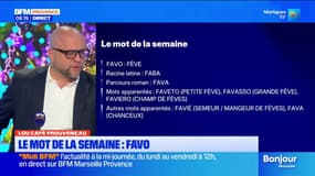 Lou Cafè Prouvençau: "Favo", le mot de la semaine