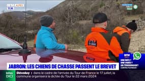 Dans la vallée du Jabron, 74 chiens de race passent leur permis de chasse