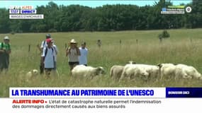 La transhumance au patrimoine de l'UNESCO