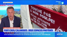 Marseille: quel bilan pour l'interdiction estivale de la pêche au poulpe?