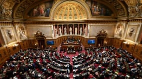 Le Sénat, le 2 avril 2024 (photo d'illustration).