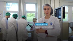 Voyons Voir : ma région, ses terroirs