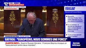 "La force brutale ne se borne jamais elle-même", alerte François Bayrou
