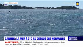 Cannes: la mer plus chaude de 3°C par rapport aux normales