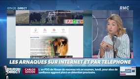 Dupin Quotidien : Les arnaques sur Internet et par téléphone - 23/04
