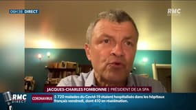 Pas de secrétaire d'État à la protection des animaux: déception pour le président de la SPA