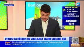 Tempête Floriane: la région des Hauts-de-France en vigilance jaune pour le vent jusqu'à 16 heures