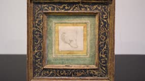 "La Tête d'ours", un dessin de Léonard de Vinci qui pourrait atteindre les 16 millions de dollars aux enchères