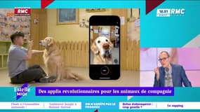 On n'arrête pas le progrès : Des applis révolutionnaires pour les animaux de compagnie - 29/05