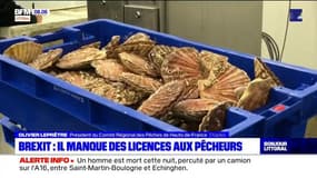 Brexit: des pêcheurs toujours sans licence pour aller dans les eaux britanniques