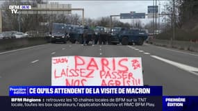 Ce que les agriculteurs attendent de la visite d'Emmanuel Macron à Bruxelles