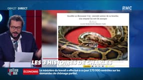 « Les 3 histoires de Charles Magnien » : Un serpent en guise de masque, un enfant débarqué de l'avion pour avoir enlevé son masque et en Grèce, la distribution des masques un fiasco - 18/09