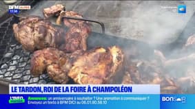 Le Tardon, roi de la foire de Champoléon !