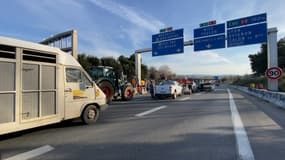 Après avoir bloqué l'A51 au niveau d'Aix-en-Provence toute la journée de ce lundi 29 janvier, les agriculteurs ont passé la nuit sur place avant une nouvelle journée de blocage.