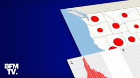 INFOGRAPHIES. À quelques jours de Thanksgiving, où en est l'épidémie de Covid-19 aux États-Unis ?