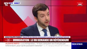 Loi immigration: Jean-Philippe Tanguy (RN) dénonce "le cynisme" de Gérald Darmanin et du gouvernement