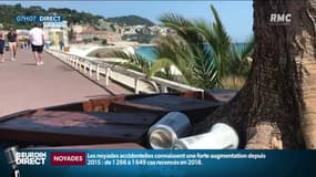 Des canettes de bières dans le bac d'un palmier de la promenade des Anglais à Nice
