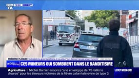 "La violence est totalement débridée", assure Frédéric Ploquin, spécialiste du brand banditisme