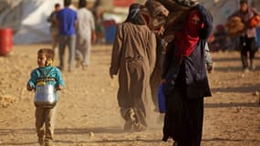 Le camp d'Aïn Issa