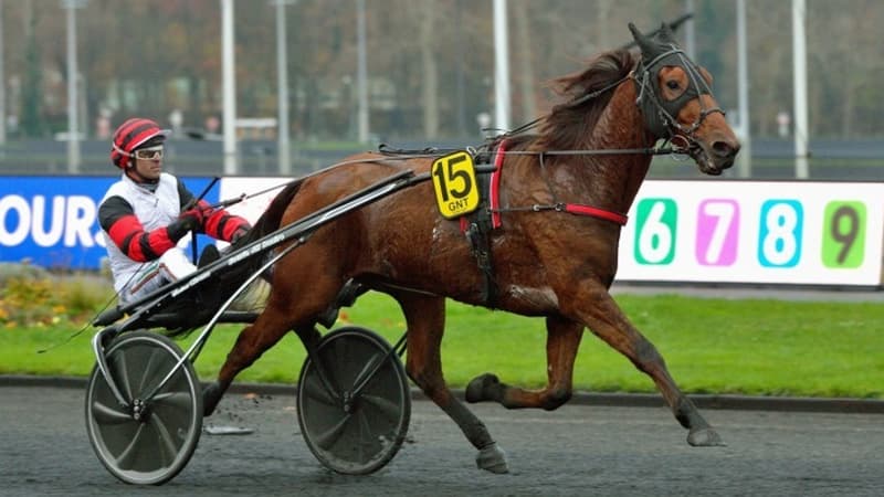 Cleangame est l'un des meilleurs trotteurs