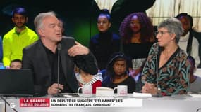 "En France, nous ne savons pas gérer un clampin de fiché S à deux balles ! "