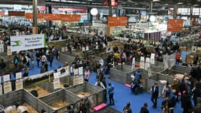 Des visiteurs au 61e Salon de l'Agriculture, Porte de Versailles, à Paris, le 27 février 2025