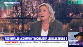 Marine Le Pen: "Nous subissons plus que les autres" l'abstention