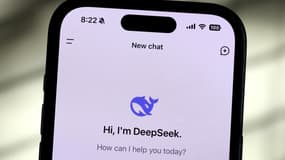 L'application Deepseek sur un iPhone.