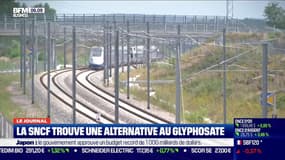 La SNCF trouve une alternative au glyphosate pour désherber les voies de chemin de fer