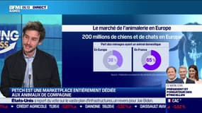 La  pépite : PETCH, la marketplace entièrement dédiée aux animaux domestiques, par Lorraine Goumot - 01/10