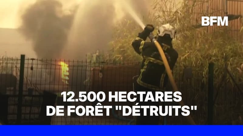 Incendies en France: la préfecture de Gironde annonce 12.500 hectares de forêt "détruits" et 44.000 évacués