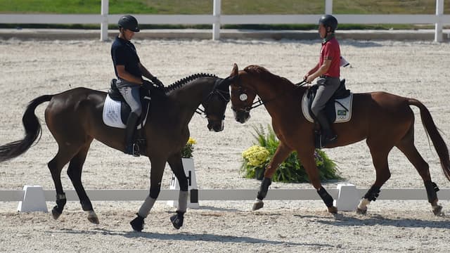 JO 2016 : l’équitation privée de Brésil ?