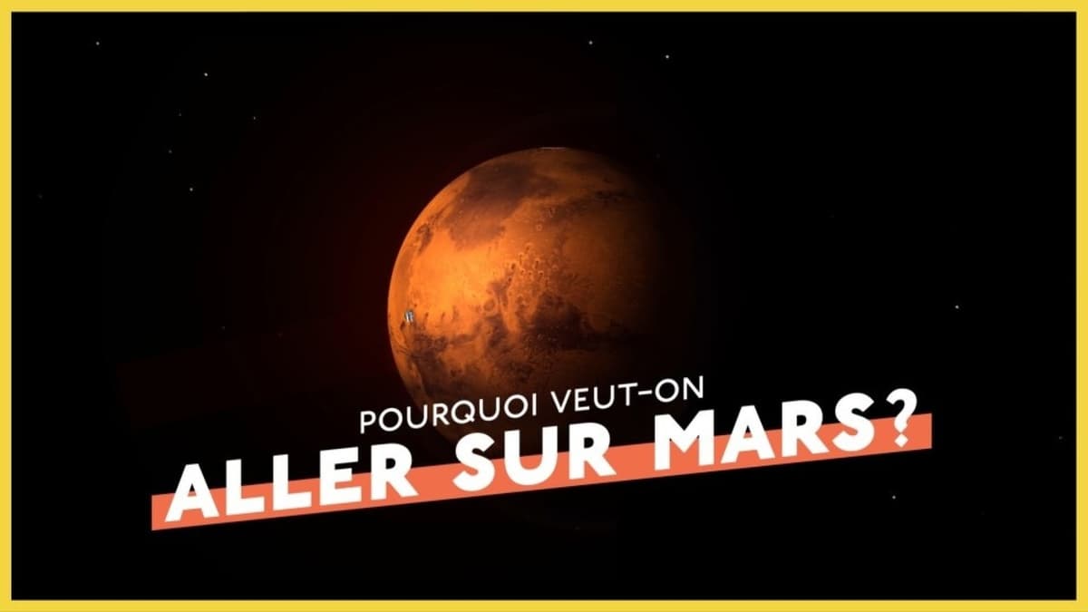 placeholder video