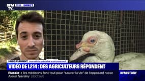 Hugo Clément: "Il est temps que la France avance sur les pratiques cruelles qui sont infligées aux animaux"