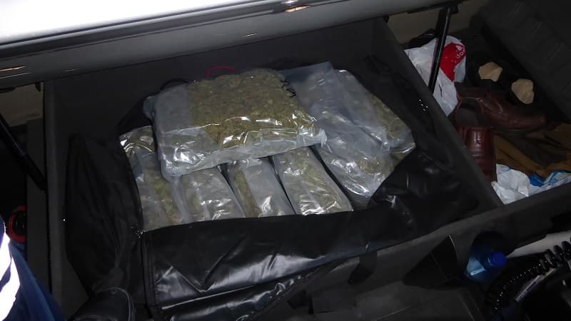 Du cannabis saisie par la douane d'Hendaye