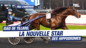 Prix d’Amérique : Idao de Tillard, la nouvelle star des hippodromes