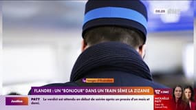 Flandre: un contrôleur fait l'objet d'une plainte après avoir salué les passagers en français