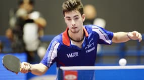 Tristan Flore