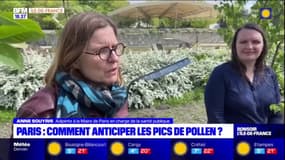 Paris: un pollinarium pour anticiper les pics de pollen