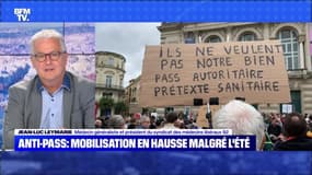 Anti-pass : mobilisation en hausse malgré l'été - 08/08