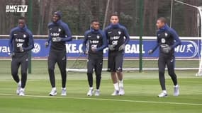 Equipe de France : que peut espérer l'équipe de France avec cette génération dorée ?