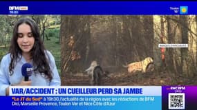 JT du Sud du lundi 4 novembre