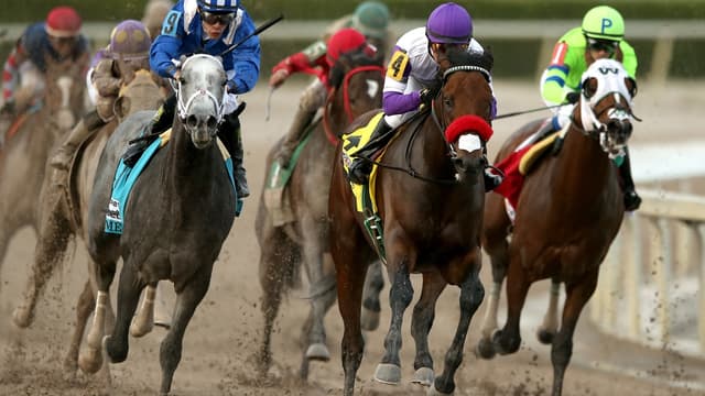 La Pegasus World Cup se tiendra à Gulfstream Park, en Floride.