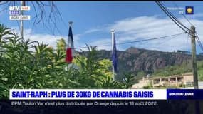 Saint-Raphaël: plus de 30 kilos de cannabis saisis lors de deux opérations de police
