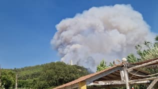L'incendie en cours à Taradeau, dans le Var, ce dimanche 19 juillet 2026. 