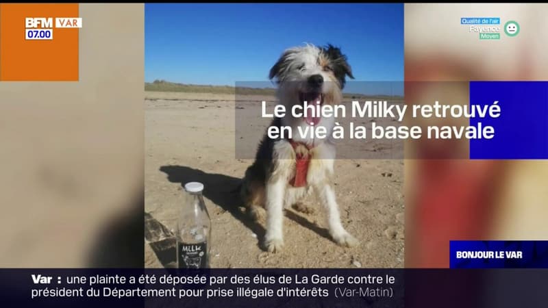 Toulon: Milky, le chien disparu sur la base navale, a été retrouvé